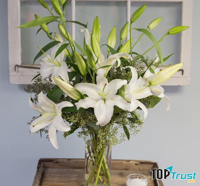 Tưới nước ấm cho hoa nhanh nở
