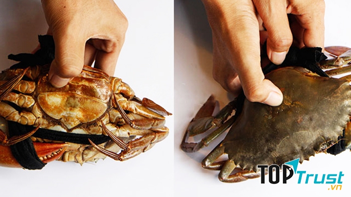 Bạn cần kiểm tra độ đầy và chắc của thịt bằng cách bóp vào cua