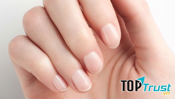 Ảnh minh họa - nguồn internet