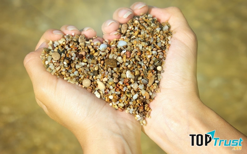 Đừng vì một chút tranh chấp mà đánh mất tình bạn chí thân. Đừng vì một chút oán giận mà quên đi thâm ân của người khác.