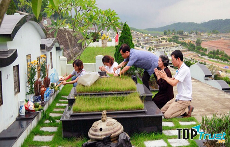 Tảo mộ tổ tiên