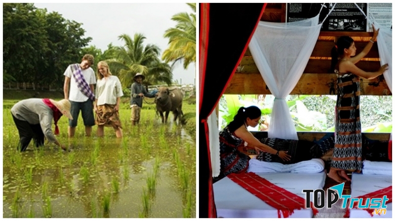 Homestay mang lại sự trải nghiệm văn hóa địa phương chân thực nhất