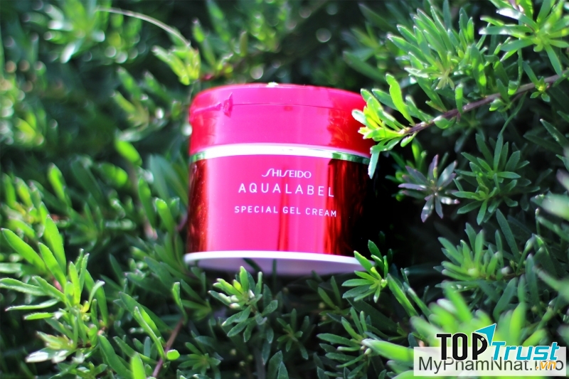 Shiseido Aqualabel Special Gel Cream