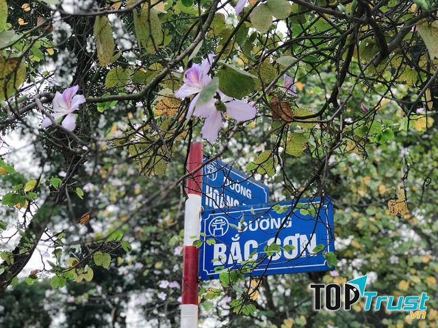 Đường Bắc Sơn