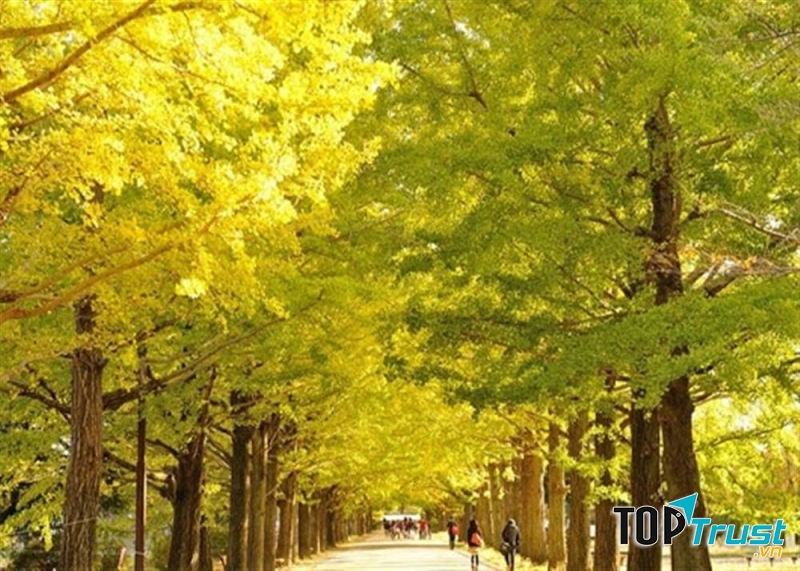 Đây là địa điểm thích hợp cho người muốn tìm chốn bình yên để nghỉ dưỡng