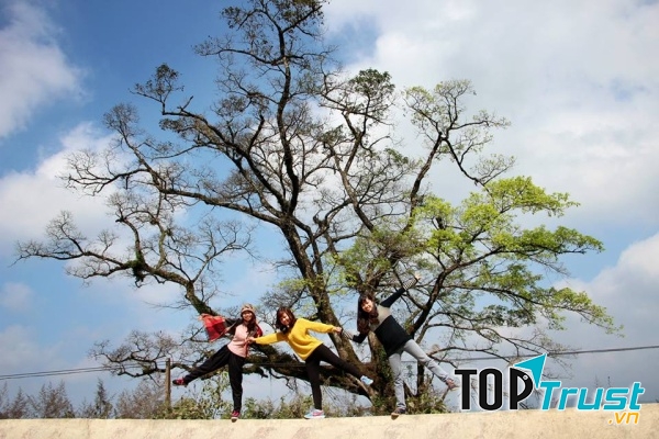 Đường đi thuận lợi, khoảng cách không quá xa Hà Nội