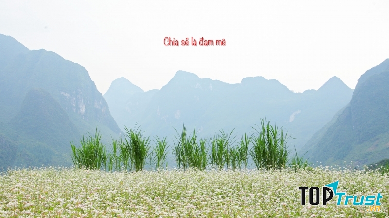 Trung tâm có những khóa học phục vụ cho từng mục đích khác nhau của học viên: chụp đám cưới, chụp sản phẩm, chụp phong cảnh,...