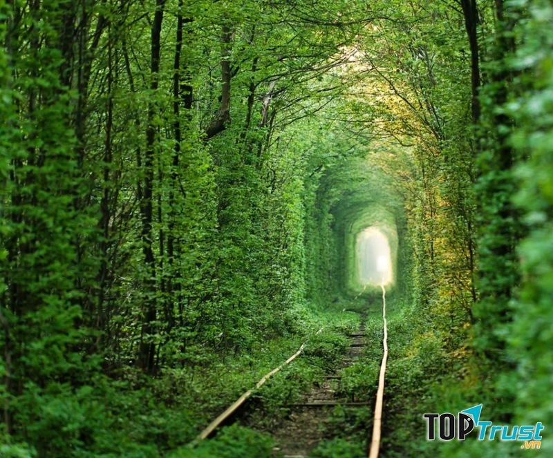 Không khí tại đường hầm trong lành khiến cho du khách không muốn rời đi