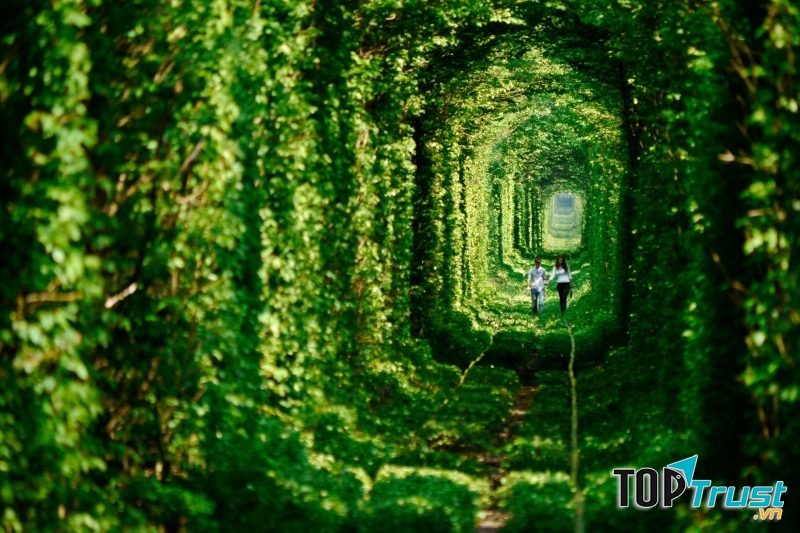 Lạc bước vào chốn thần tiên xanh mướt