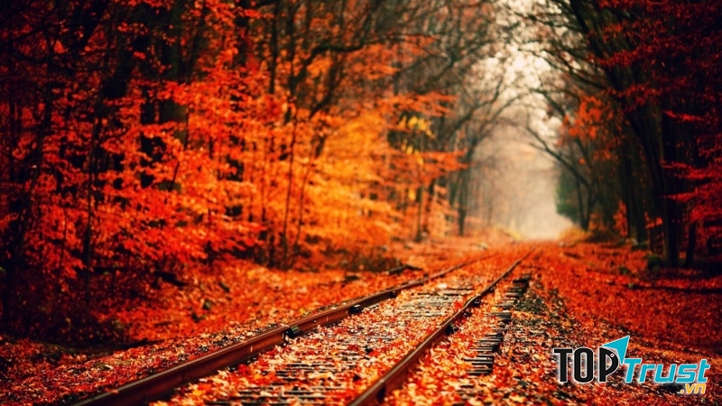 Đường hầm tình yêu (Tunnel of love)