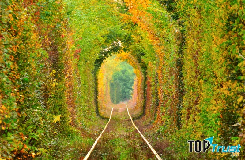 Đường hầm tình yêu “Tunnel of love” (Ukraine)