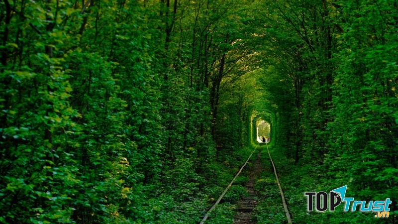 Đường hầm tình yêu “Tunnel of love” (Ukraine)