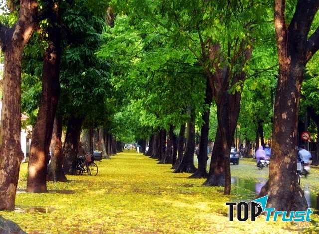 Đường Hoàng Diệu