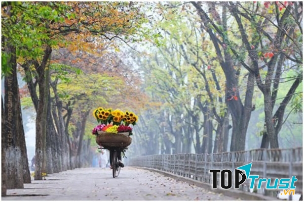 Tuyến đường Kim Mã và Phan Đình Phùng