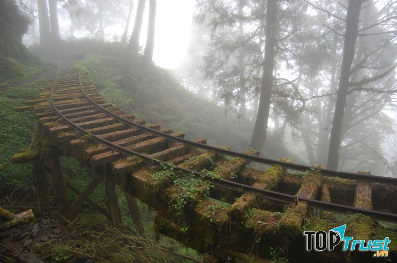 Những bậc thang cũ kĩ bám đầy rêu phong