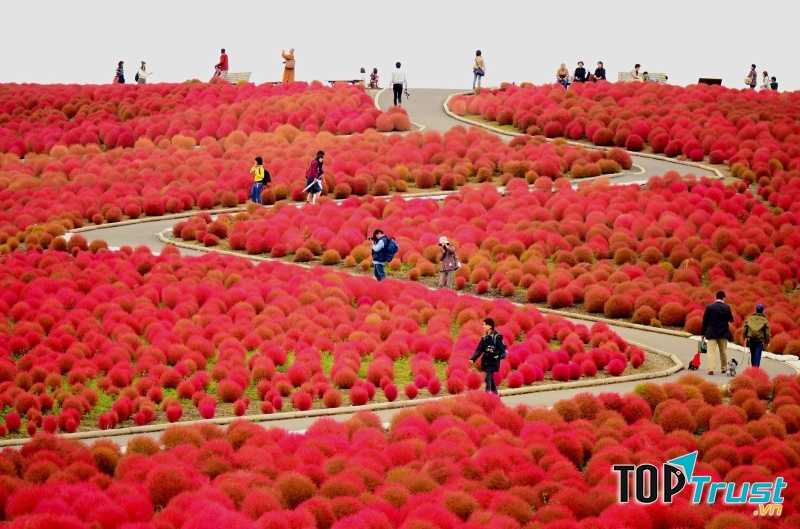 Địa điểm thu hút đông đảo du khách đến tham quan