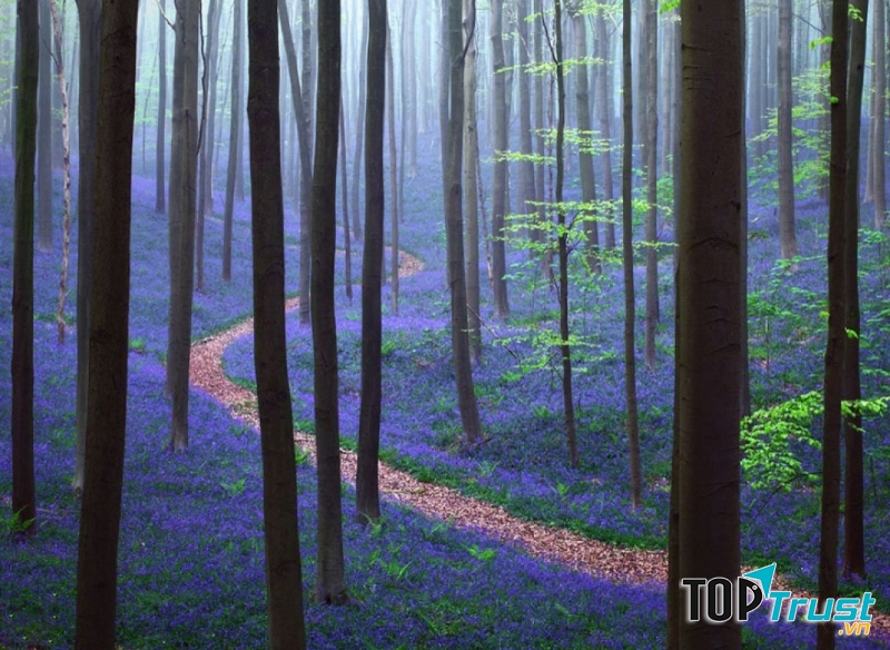 Con đường mòn thơ mộng và huyền bí