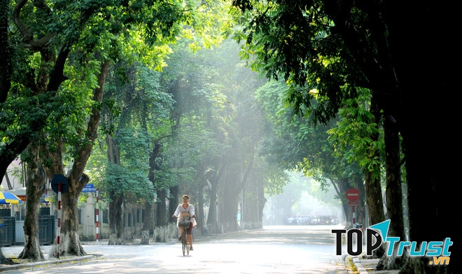 Buổi sáng tinh sương trong lành trên đường Phan Đình Phùng