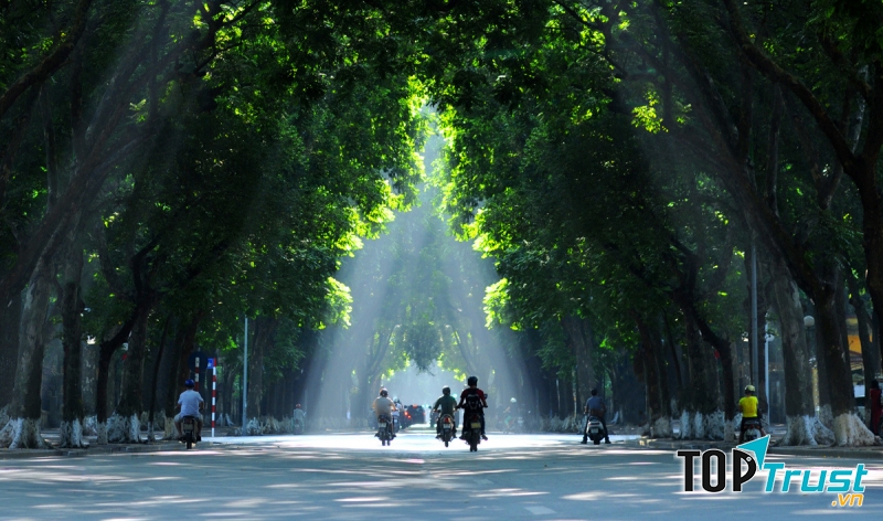 Đường Phan Đình Phùng dưới ánh nắng vàng lung linh