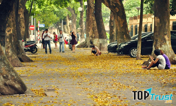 Mộng mơ đường Kim Mã