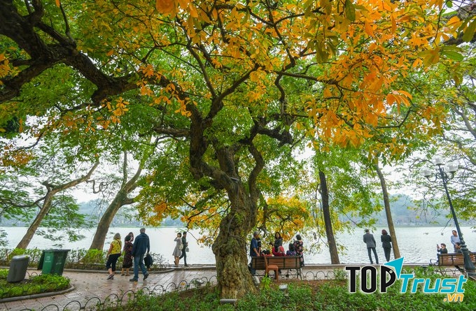 Đường Thanh Niên