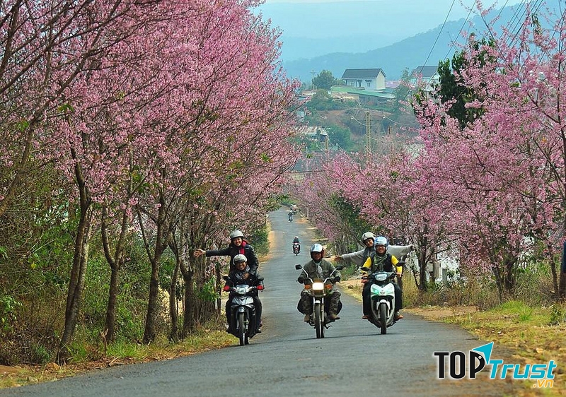 Cùng thả hồn theo những cung đường đầy thơ mộng tại Đà Lạt