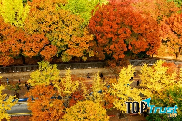 Con đường trong cung điện