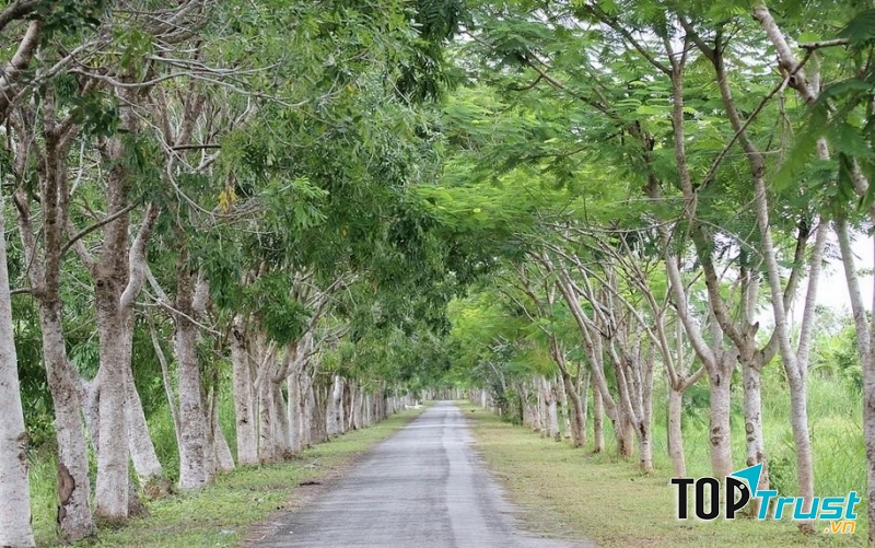 Đường vào rừng U Minh Thượng