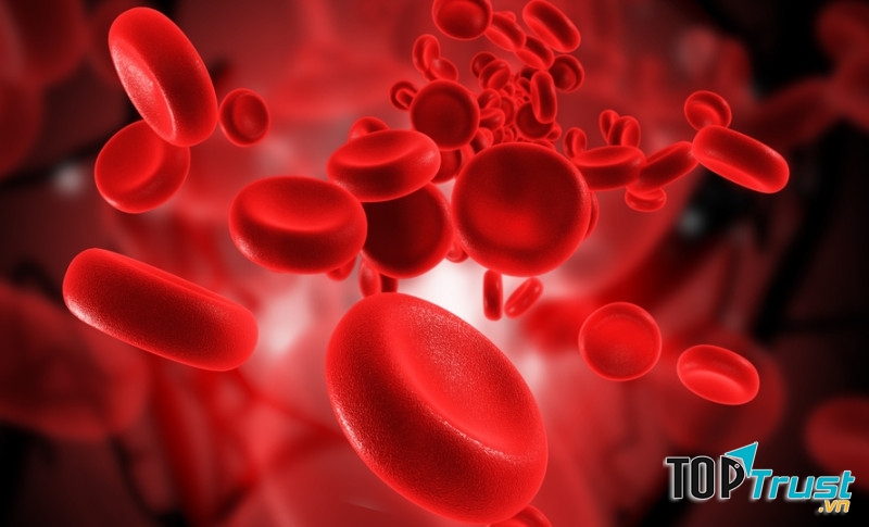 Duy trì lượng sắt trong cơ thể