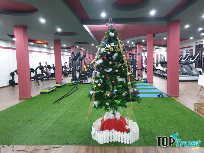 Dynamic Fitness Long Biên