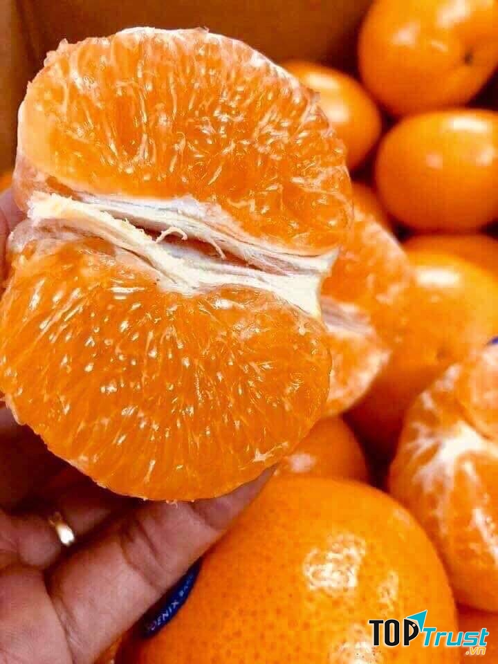 Eco Fruits 72 Trần Trọng Cung Quận 7