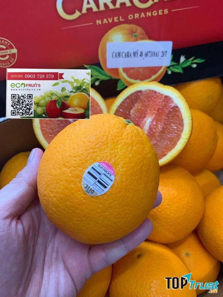 Eco Fruits 72 Trần Trọng Cung Quận 7