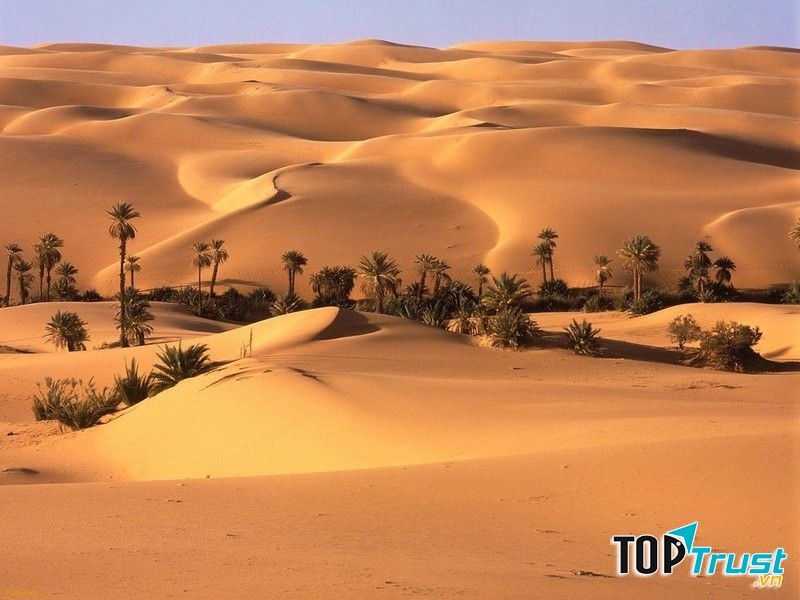 Sa mac Rub' al Khali