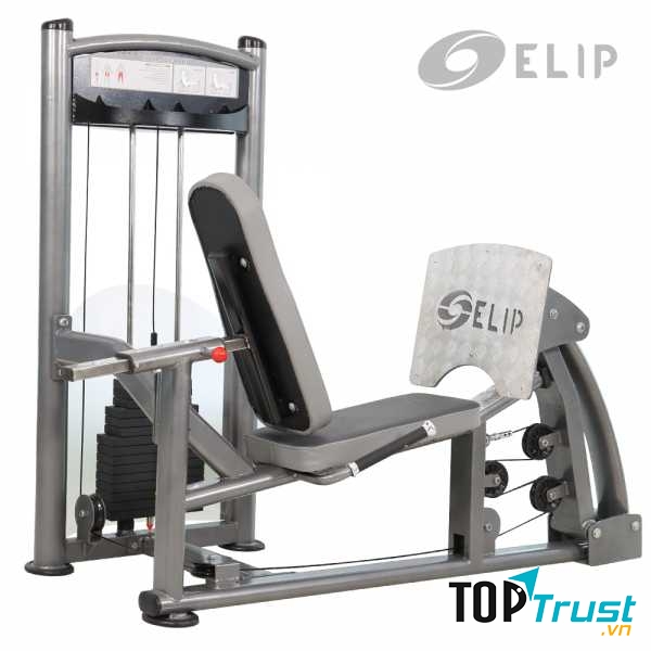 Elipsport