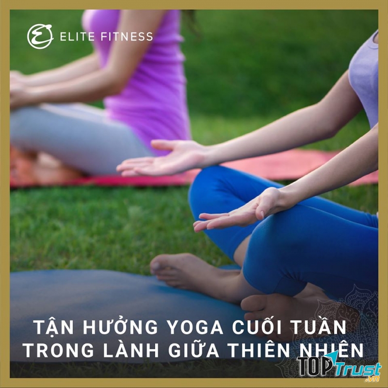 Elite Fitness