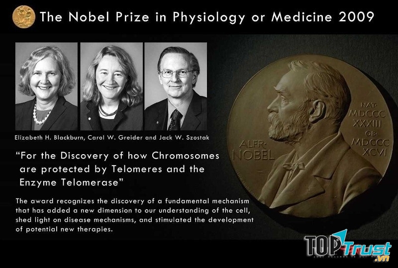 Elizabeth H. Blackburn - Nobel Sinh lý học và Y khoa 2009
