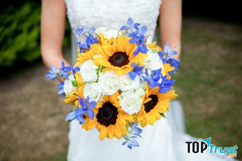 Lời chúc valentine khen ngợi