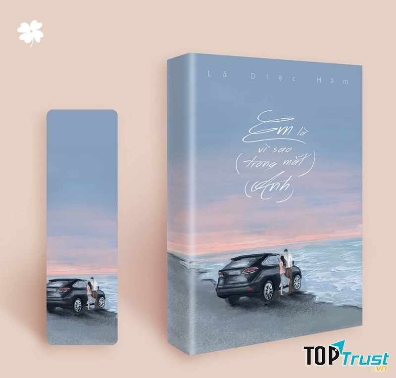 Em là vì sao trong mắt anh