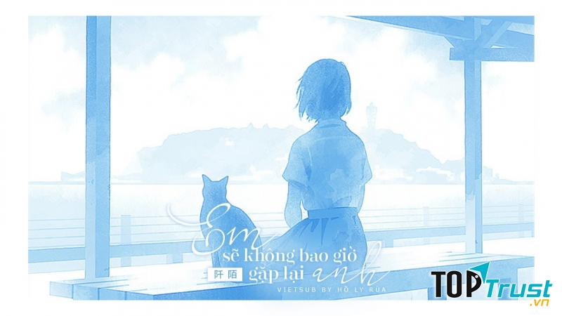 Em sẽ không bao giờ gặp lại anh - Thiên Mạch