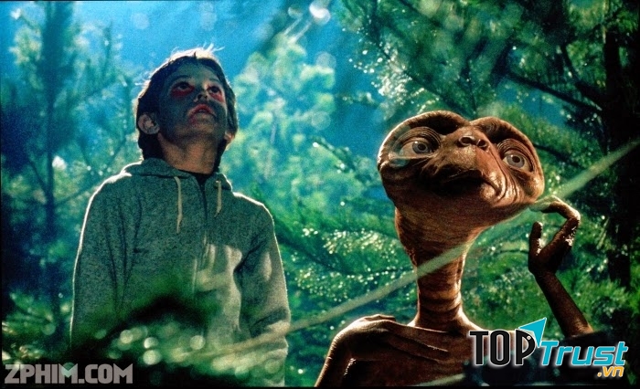 Hình ảnh trong phim