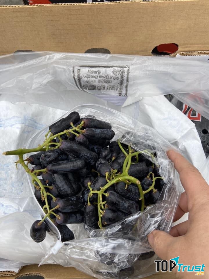 F5 Fruit Shop Vĩnh Phúc