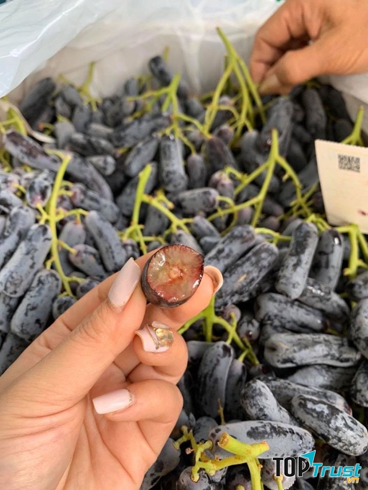 F5 Fruitshop Hải Phòng