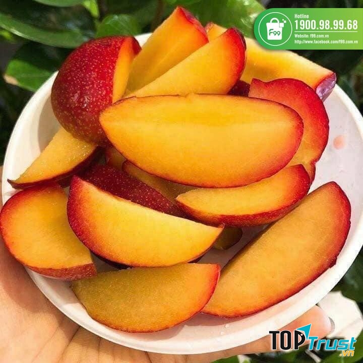 F99 - Trái Cây Nhập Khẩu Hàng Đầu Việt Nam