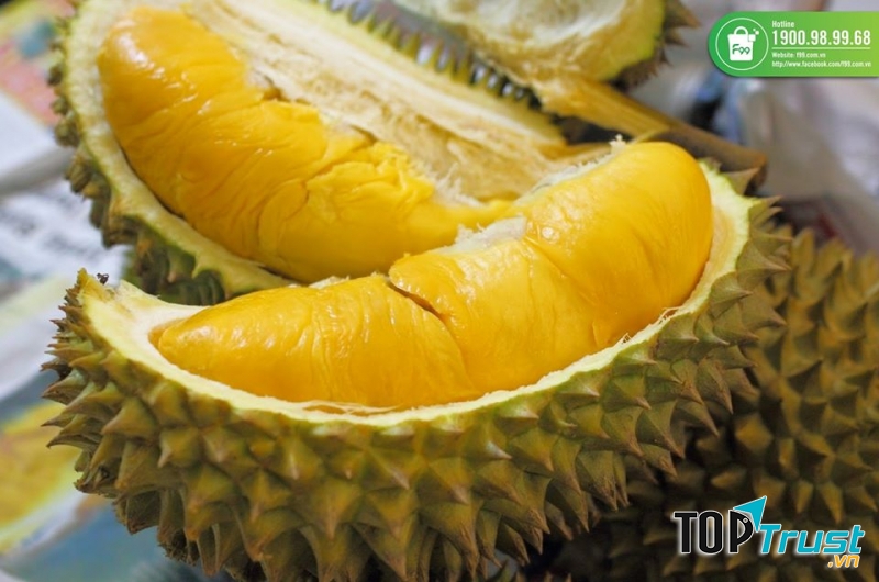 F99 - Trái Cây Nhập Khẩu Hàng Đầu Việt Nam