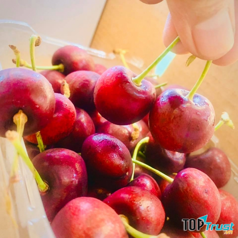 Fala - Trái Cây Và Thực Phẩm Sạch