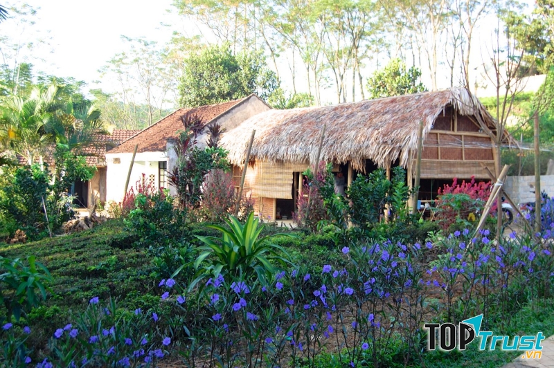 Toàn khuôn viên của homestay được bao bọc bởi những vườn cây