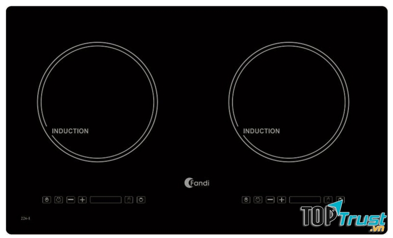 Fandi có thế mạnh sản xuất các thiết bị nhà bếp, đặc biệt là bếp từ.