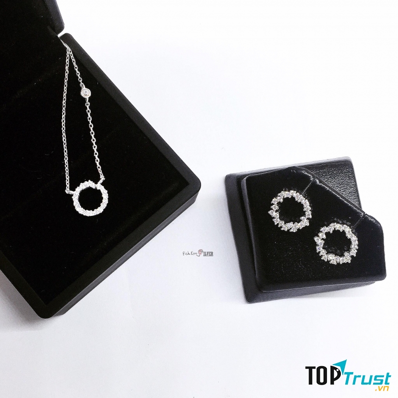 FisheyeSilver