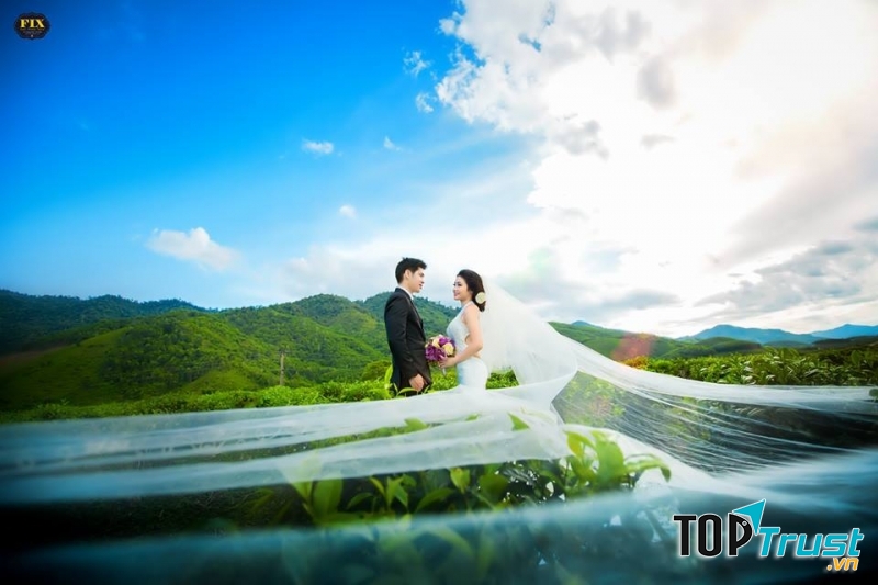 Sự kết hợp khéo léo voan trắng trên nền lá xanh mướt