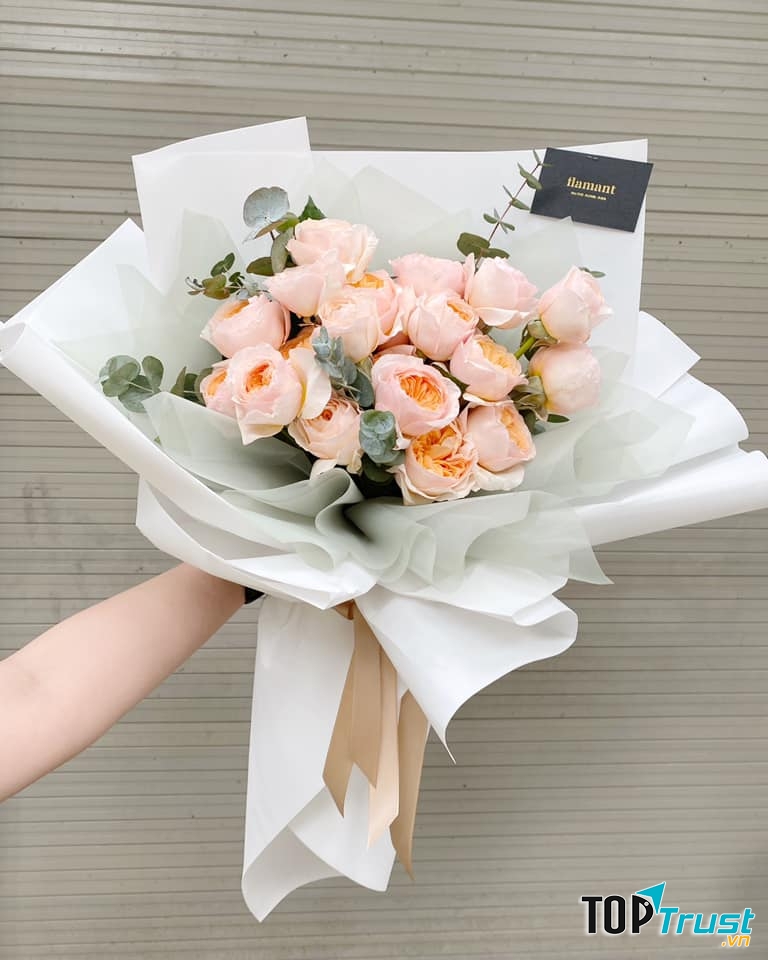 Flamant - Hoa tươi cao cấp